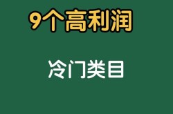 电商行业月收入有多少？新手如何快速上手？