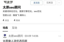 山西SEO优化排名如何提升？专业建议！