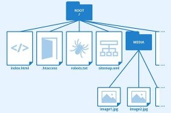 什么是根目录？网站根目录对SEO有哪些影响？