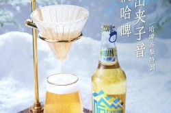 啤酒品牌营销策略如何制定？哪些方法更有效？