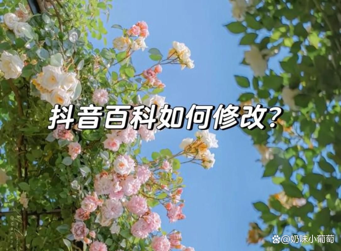 抖音百科入口修改怎么操作？有哪些简单易懂的教程？