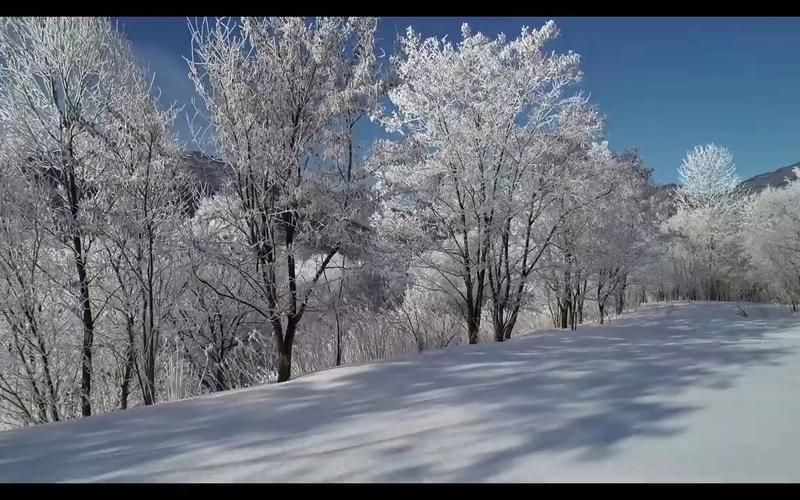 15秒下雪视频无水印素材哪里有？如何使用？