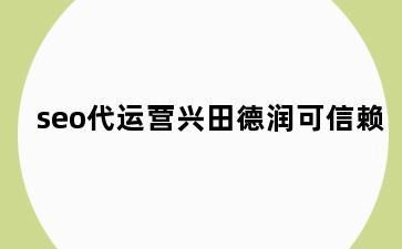 兴田德润在SEO推广公司中表现如何？有何优势？