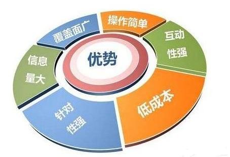 SEO教程与SEO优化有何区别？哪个更适合初学者？