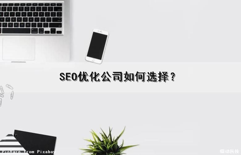 SEO服务公司如何选择？哪家公司性价比高？