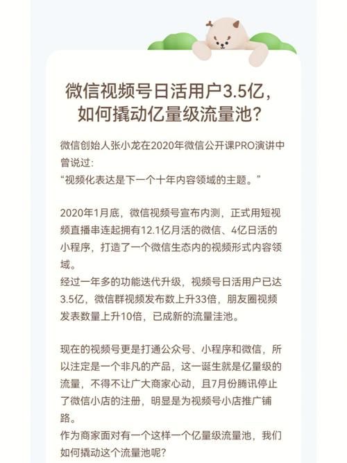 微信视频号转让管理员应注意什么？有哪些操作技巧？