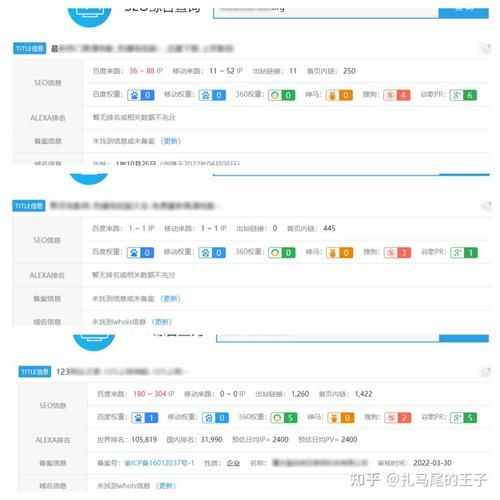 请提供一个SEO网站推广全程实例分析，有哪些经验教训？