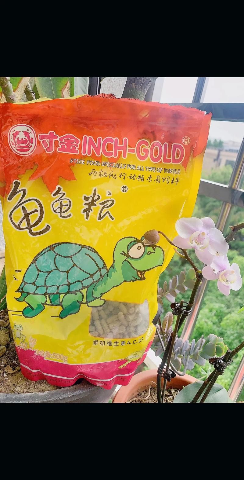 龟粮品牌推荐哪个品质好？选择龟粮品牌应关注哪些方面？