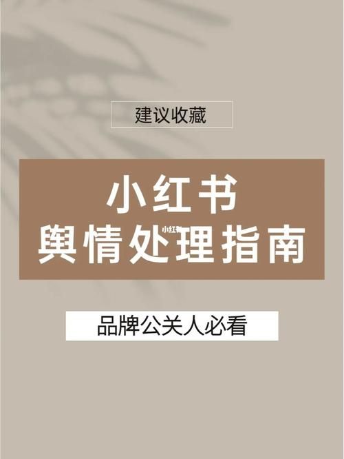 小红书安卓版如何高效使用？有哪些不可错过的功能？