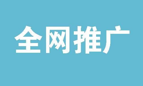 怎样进行SEO推广最有效？有没有成功案例参考？