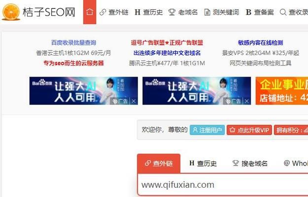 网址SEO查询工具哪个好？怎么使用才有效？