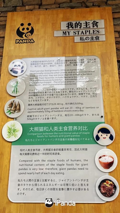 网络推广大熊猫优化有哪些方法？