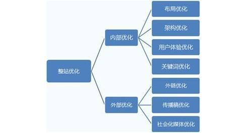 外贸SEO怎么做才能提高国际竞争力？