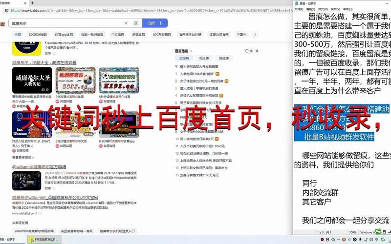 SEO教程网，哪个最权威？