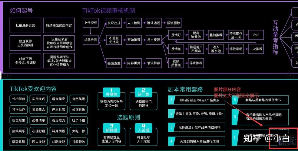 国内用TikTok解决方案有哪些？如何优化运营效果？