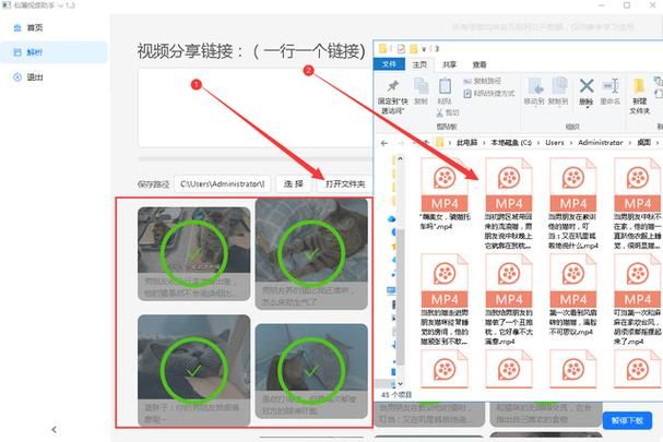 抖音个人百科如何创建？入门指南一览无余