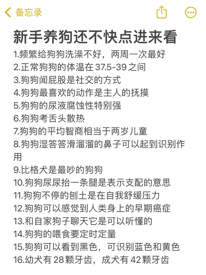 怎样正确修改小狗百科内容？技巧分享