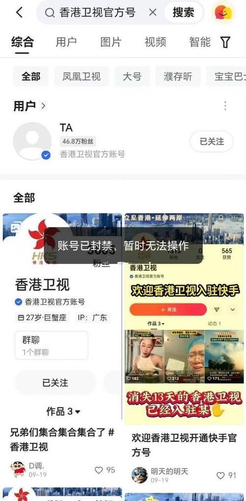 国内封禁原因揭秘：为何采取措施限制访问？