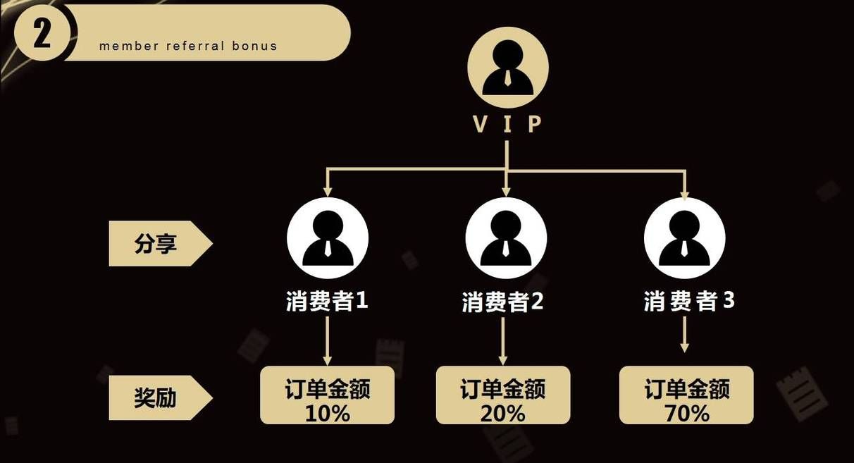 社交电商营销方案有哪些亮点？案例分析