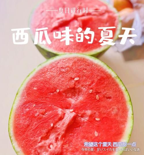 西瓜百科创建合集，夏季美食推广