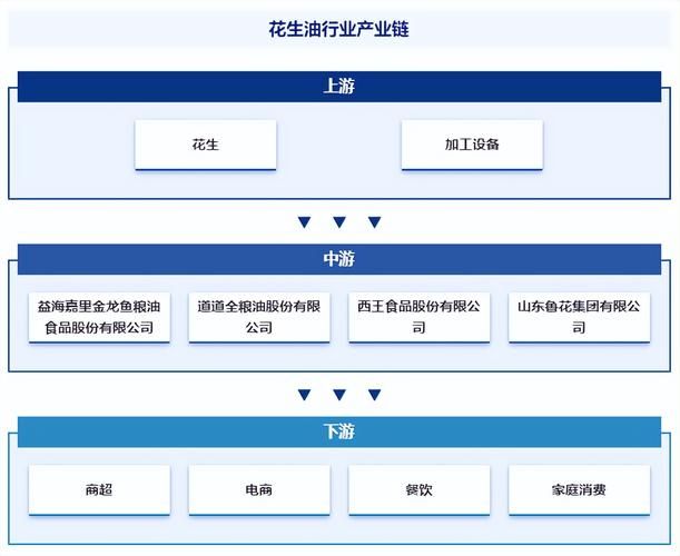 百科词条创建报价，市场行情解析