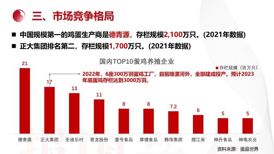 2023年电商市场数据报告揭示哪些趋势？如何把握机遇？