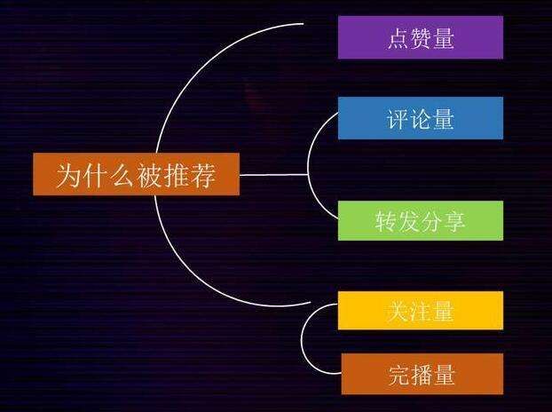 信风算法对网站SEO有什么影响？