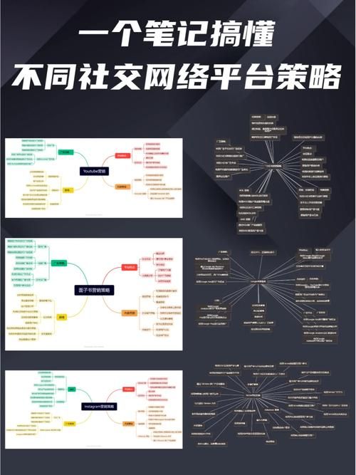 代理网络营销的要点与策略是什么？