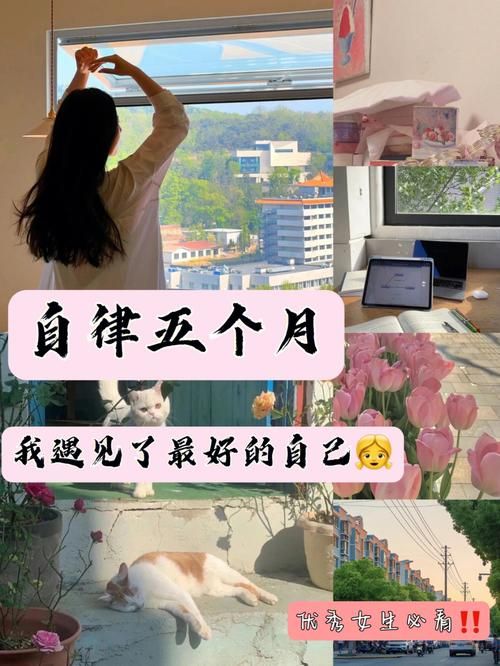 如何奖励自己的视频素材？创意奖励视频制作的秘籍