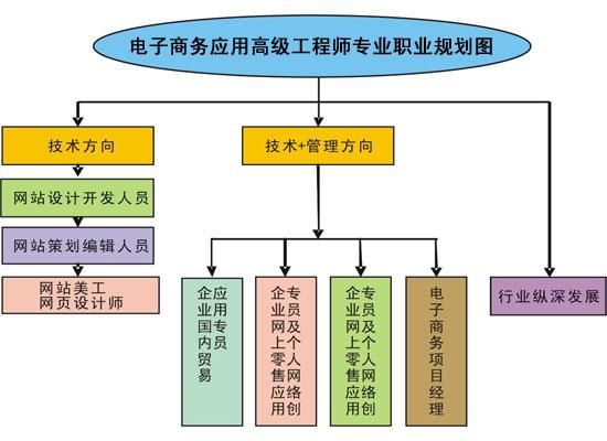 学电商出来能做什么？职业发展路径解析