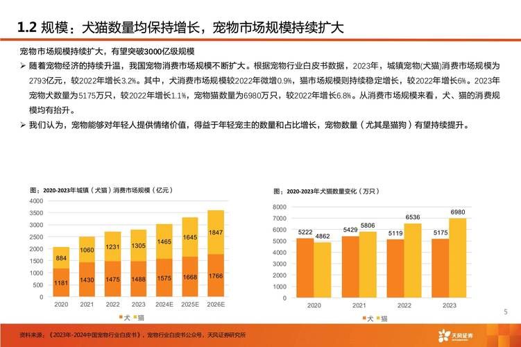 宠物营销方案如何制定？如何提升宠物产品销量？