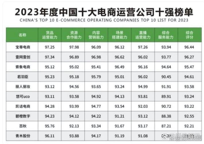 电商公司排名，哪些企业值得关注？