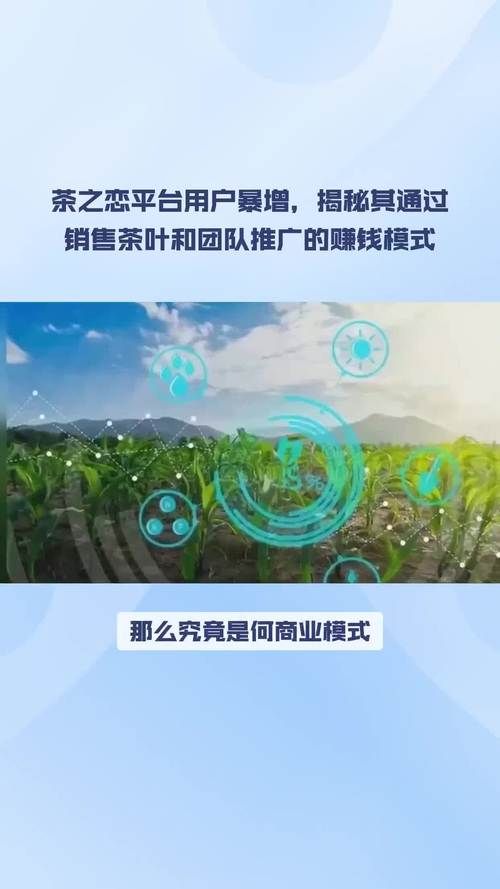 茶叶的网络推广策略如何提升销售业绩？