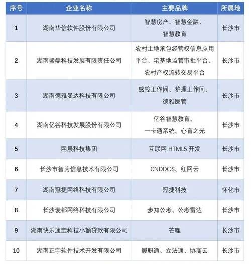 湖南互联网推广营销公司排名如何？哪家效果最佳？