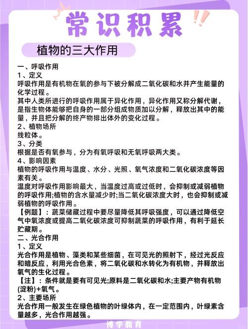 详解创建百度百科的作用与好处，必备知识